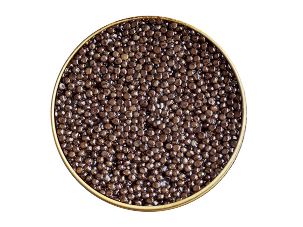Kaluga Caviar
